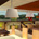 Fresh + Vibrant – Orange, 