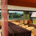 Fresh + Vibrant – Orange, 